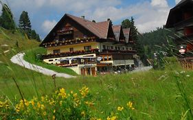 Hotel Turracherhof